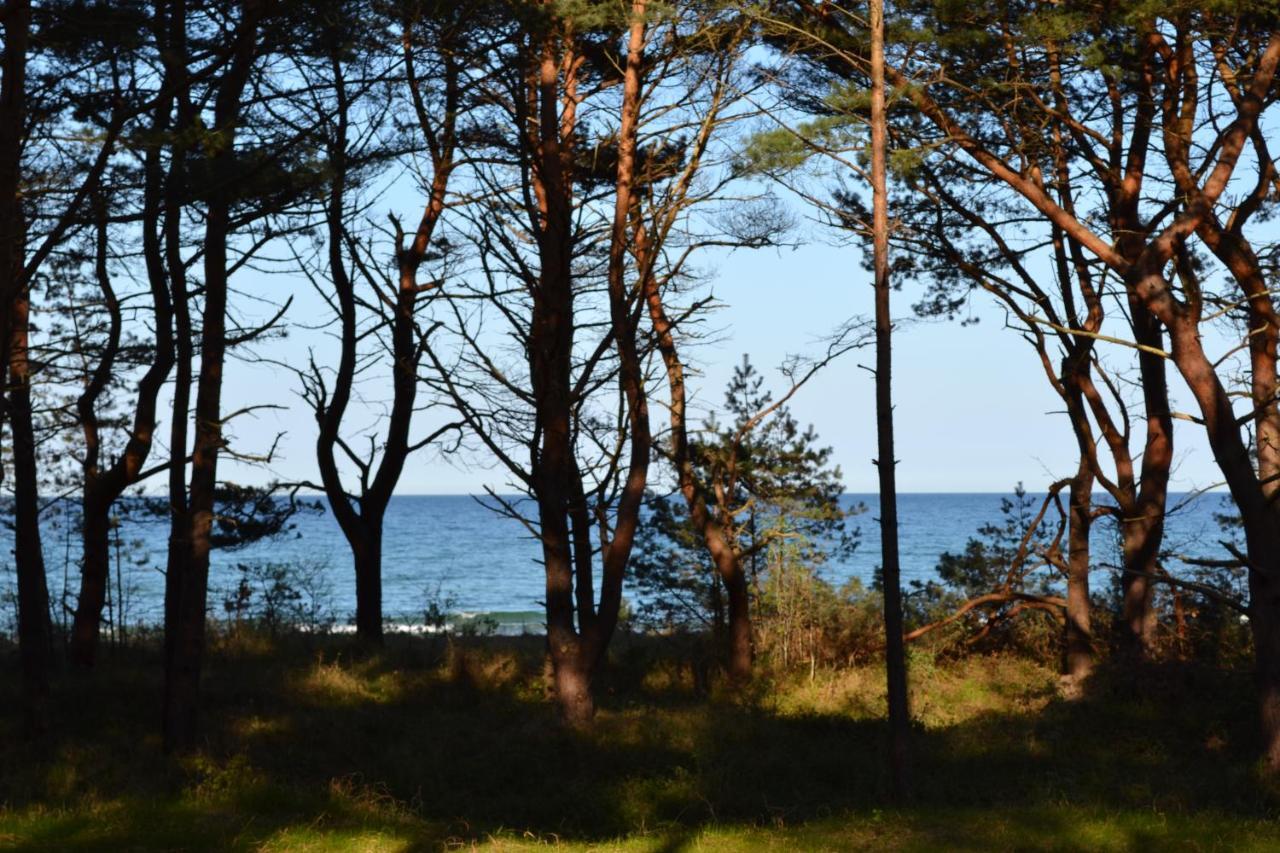 Arkona-meeresblick Am Prorer Wiek Apartment *